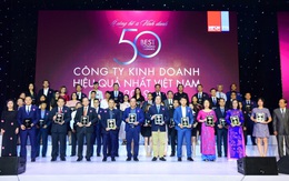 Chính thức công bố TOP 50 công ty kinh doanh hiệu quả năm 2019