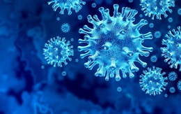 Có bao nhiêu chủng virus SARS-CoV-2 đang lây lan?