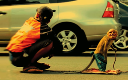 'Ngày duy nhất' 25-7-2020 quay clip cá nhân mình cho YouTube với phim 'Life in a day 2020'