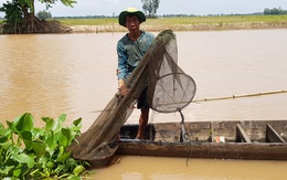 Ngư dân biên giới ngóng lũ về để mưu sinh