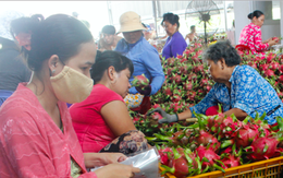 Giúp 'đại bàng, chim sẻ' cùng đi 'cao tốc' EVFTA