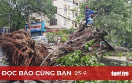 Đọc báo cùng bạn 25-9: Bảo vệ cây xanh trước gió bão