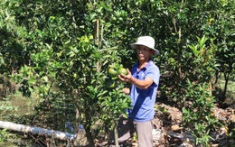 5 năm, nông dân Cần Thơ được vay hơn 1.000 tỉ phát triển kinh tế