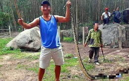 Trăn nặng hơn 20kg 'nuốt chửng' con dê 10kg