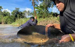 Đãi vàng - Nghề hấp dẫn trong nền kinh tế kiệt quệ vì COVID-19