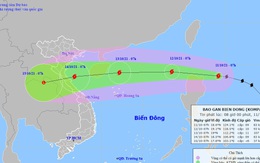 Bão Kompasu có thể đạt cấp 11, giật cấp 13, đi rất nhanh vào đất liền