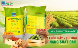 NPK Phú Mỹ tăng trưởng vượt bậc