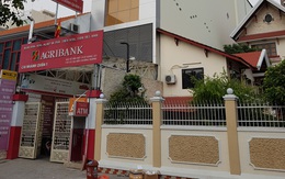 Agribank Chi nhánh Quận 1 tuyển dụng lao động năm 2021