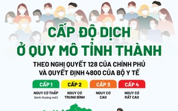 'Bản đồ màu' cấp độ dịch toàn quốc