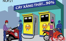 Dây mơ rễ má