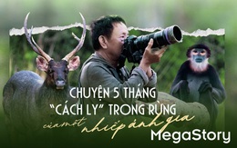 Chuyện 5 tháng 'cách ly' trong rừng của một nhiếp ảnh gia