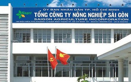 Khai trừ đảng nhiều cán bộ, công chức liên quan 4 vụ án lớn tại TP.HCM