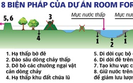 Vì sao Hà Lan phá kè, dỡ đê ngăn lũ?