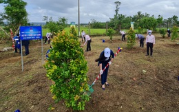 Lọc dầu Dung Quất cam kết trồng 1 triệu cây xanh