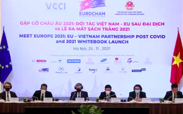 EuroCham: Không nên áp đặt việc bắt buộc thu hồi xe máy cũ