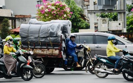 Xe thô sơ 3-4 bánh: 'Bỏ thì thương, vương thì tội'