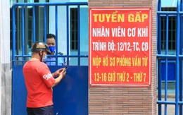 Xin việc thời 'bình thường mới': 'Thẻ xanh' đi trước, kinh nghiệm tính sau