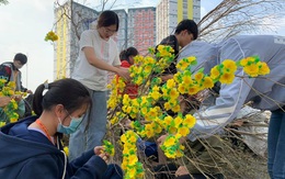 Sinh viên đăng ký ở lại ký túc xá dịp Tết tăng vì COVID-19