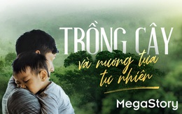 Trồng cây và nương tựa tự nhiên