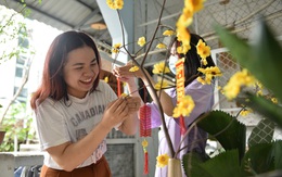 Phải hít thật sâu mới dám nói 'Ba mẹ ơi, năm nay con ăn Tết ở Sài Gòn'