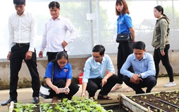 Không thể 'xúi' khởi nghiệp bất chấp