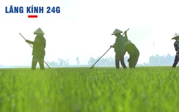 Lăng kính 24g: Bước vào cao điểm chống hạn, xâm nhập mặn