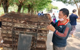 Nhộn nhịp chợ chuột đồng nơi biên giới: Mua bao nhiêu bán hết bấy nhiêu