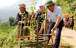 Thủ lĩnh trẻ trên rẻo cao biên ải - Kỳ 2: Giấc mơ hoa ở Mù Cang Chải