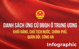 Danh sách ứng cử ĐBQH ở trung ương khối Đảng, Chủ tịch nước, Chính phủ, công an, quân đội