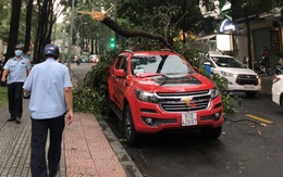 Mưa Sài Gòn chiều 15-4, nhiều đường ngập, cành sao lớn gãy lìa, đè bẹp nóc xe hơi