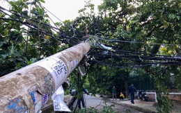 Xe tải vướng dây điện tại Thủ Đức: Vì sao dây điện không đứt mà cột điện gãy?