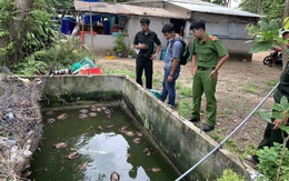 Chủ nhà ở Phú Quốc giao nộp 58 con rùa từ rừng bò vào nhà