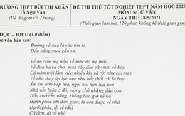 'Đi về nhà' của Đen Vâu vào đề thi thử lớp 12 Trường THPT Bùi Thị Xuân
