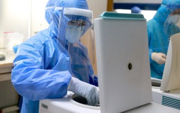 Truy tìm virus corona
