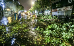 Hà Nội mưa lớn vào chiều tối, đề phòng cây đổ, ngập úng