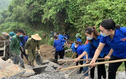 Đồng loạt trồng cây, xây cầu trong ngày cao điểm tình nguyện