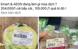 Thực hư giá tăng phi mã, bắp cải Việt Nam giá 250.000 đồng/kg