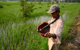 Bộ Công thương cần lắng nghe hơn