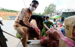 Nông dân và Công an Đà Lạt thu hoạch, sơ chế rau gửi tặng bà con TP.HCM