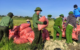 Chiến sĩ công an sáng trực chốt phòng dịch, chiều gặt lúa giúp dân