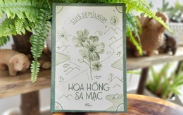 Hoa hồng sa mạc: Ngày mai, vì tình yêu