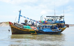 Tất cả ghe, tàu cá La Gi lại vươn khơi bám biển