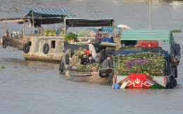 Ngắm chợ nổi lớn nhất miền Tây ngày giãn cách