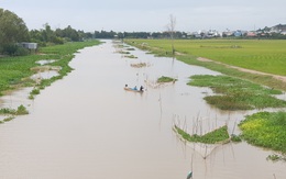 Nước lũ xăm xắp, người dân tất bật bủa lưới, đặt dớn đánh bắt cá đồng