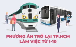 Infographic: Trở lại TP.HCM làm việc từ 1-10, người lao động cần điều kiện gì?