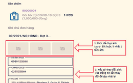 TP.HCM: Chi hỗ trợ đợt 3 cho 7,3 triệu dân từ 1-10, thực hiện qua app