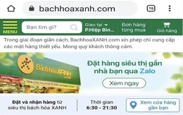 Bách hóa Xanh lập 2.000 nhóm 'Đi chợ online'