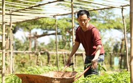 Nền tảng thương mại điện tử nông sản FoodMap nhận đầu tư 2,9 triệu USD
