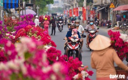 Sắc xuân đã về trên bến Bình Đông