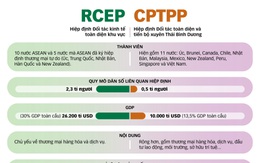 RCEP: Cú hích ngắn hạn, lợi ích dài hạn